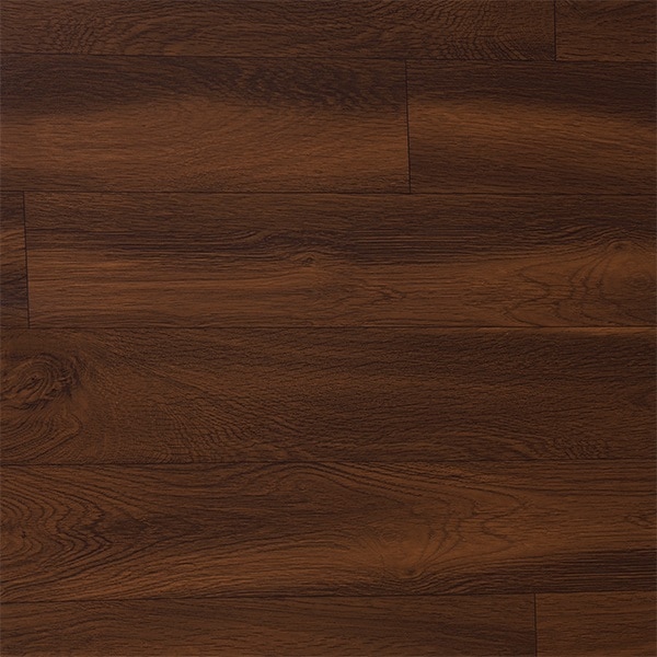 GDP 555405 image 1