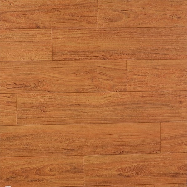 Luxuria 775103 image 1