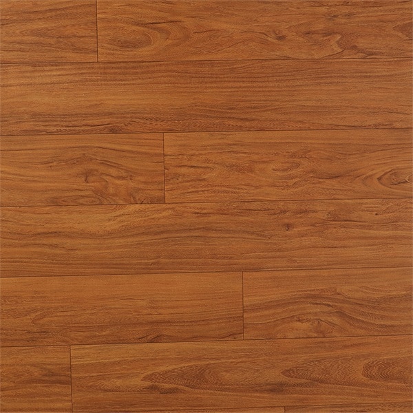 Luxuria 775105 image 1