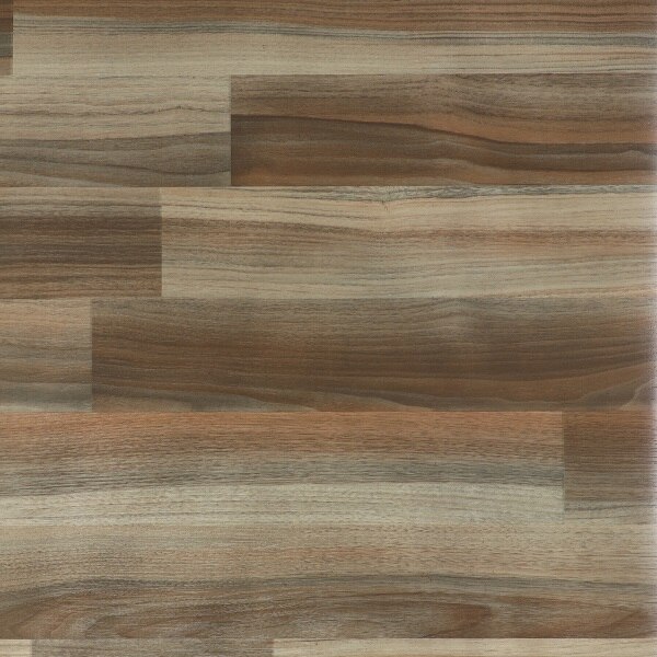 TRENDO - EUCALYPTUS TW-44 image 1
