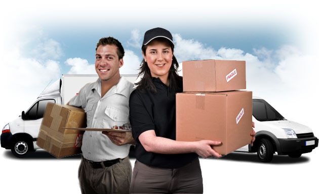 International Parcel