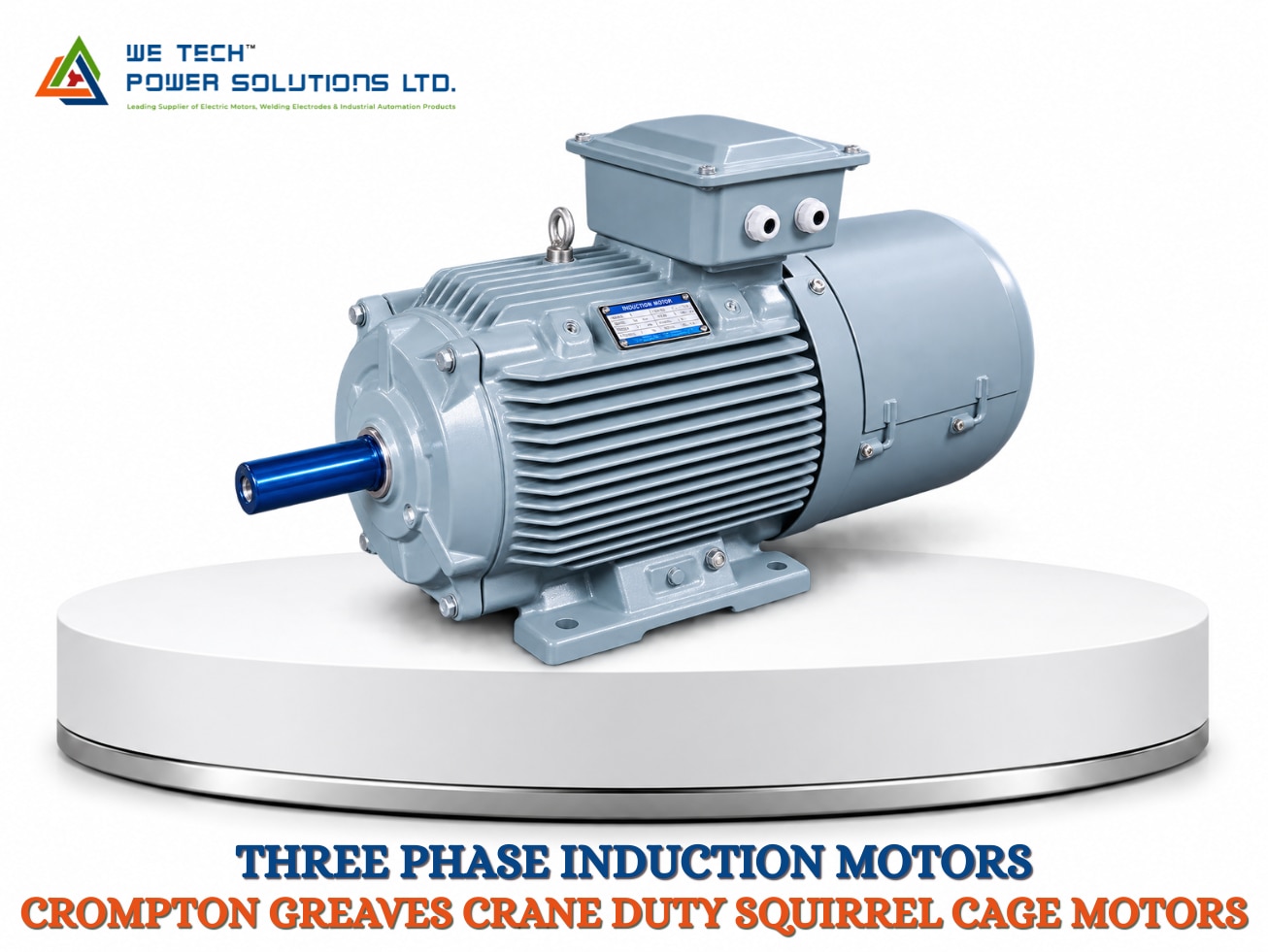 CROMPTON GREAVES CRANE DUTY SQUIRREL CAGE MOTORS image 1