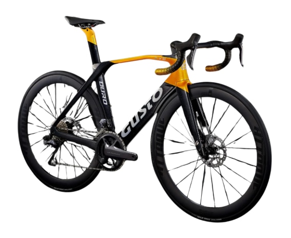 GUSTO DURO EVO DB 105 DI2 BLACK GOLD (XS) image 1