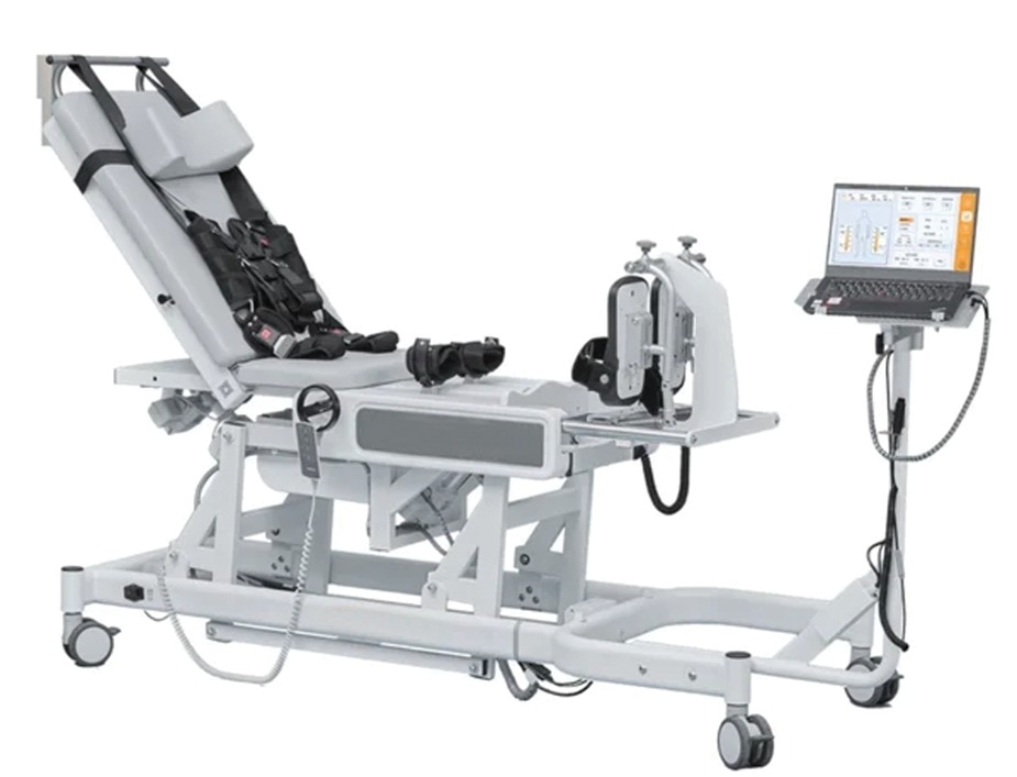 lower Limb Feedback image 1