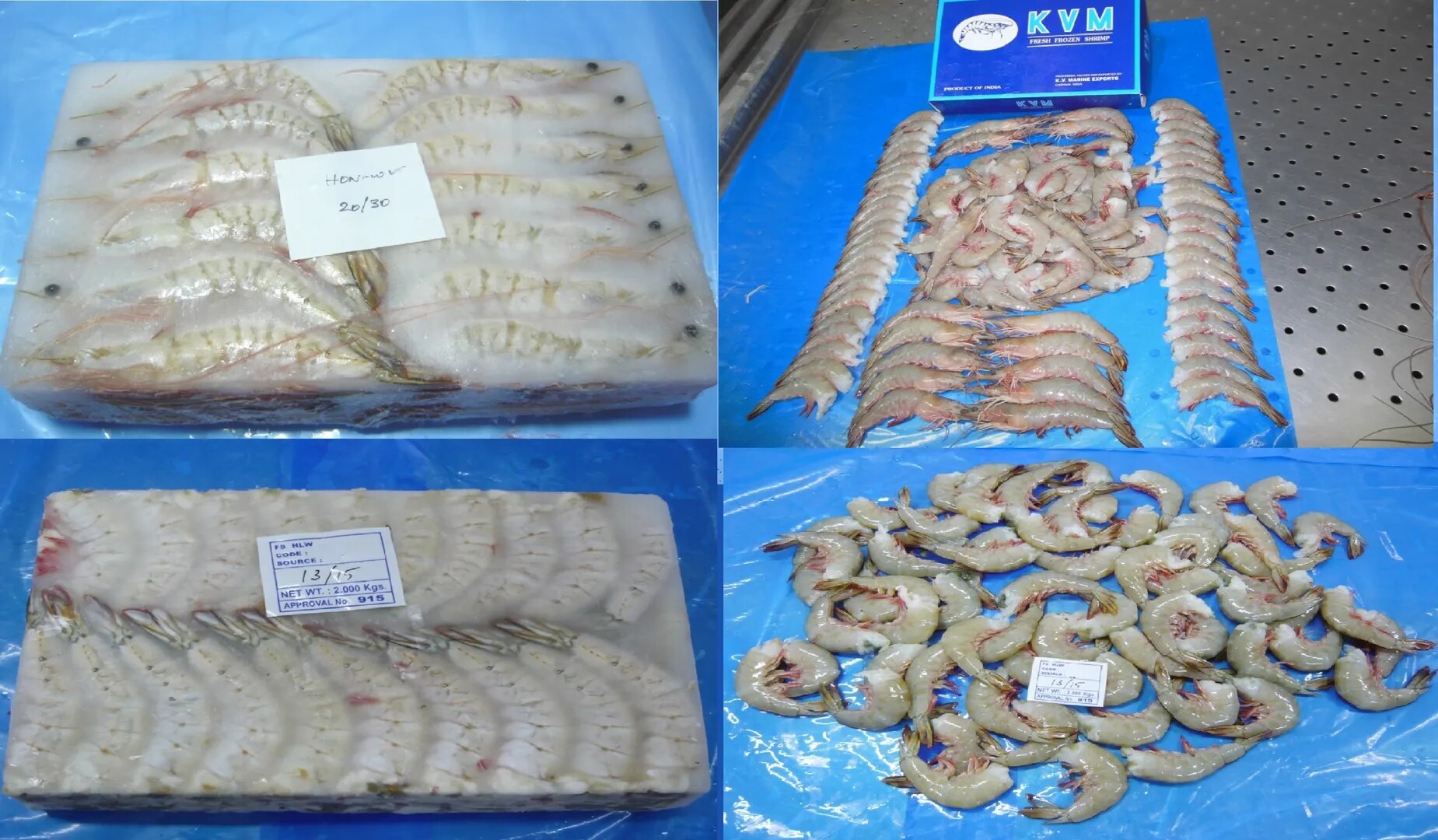 White Shrimps image 1