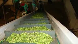 Cleated Belt Conveyors image 1