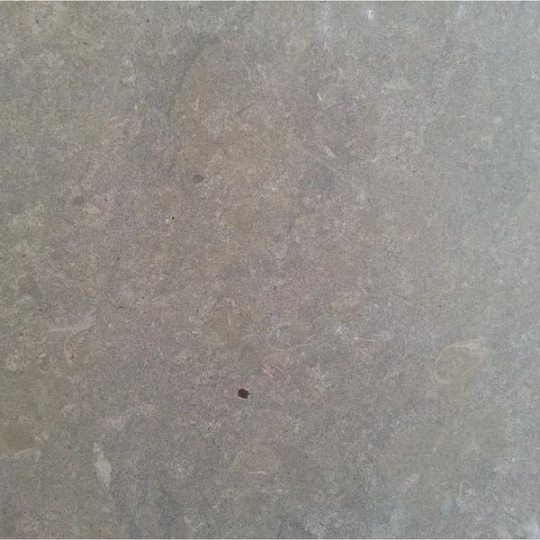 Bison Board image 1