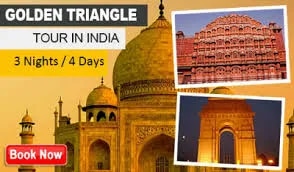Golden Triangle Tour image 1