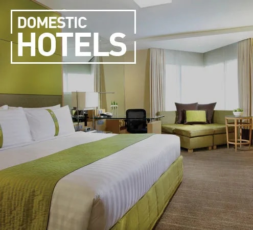 Domestic Hotels Booking image 1