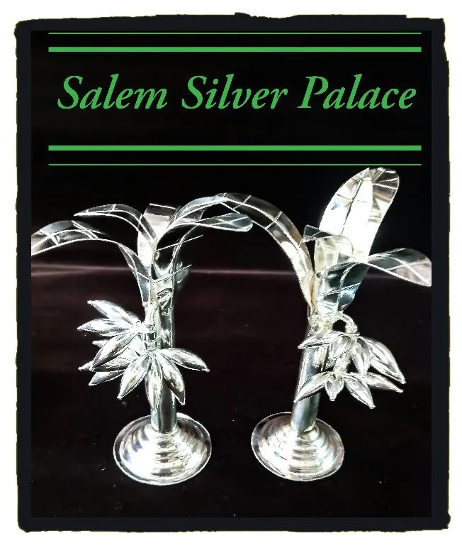 Silver Banana Tree image 1