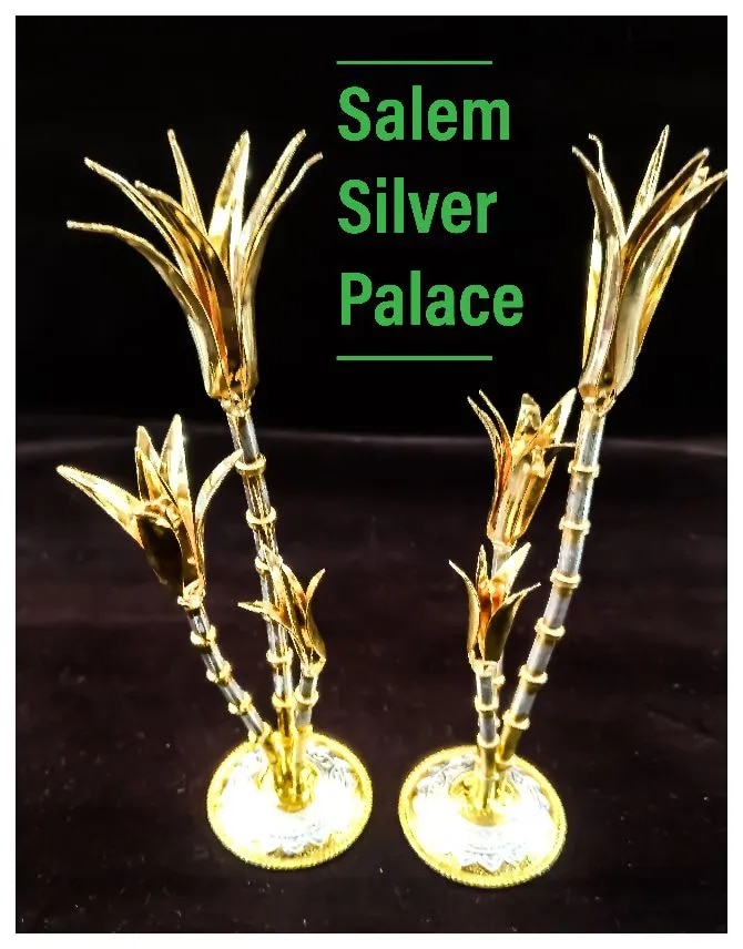 Silver Sugarcane image 1