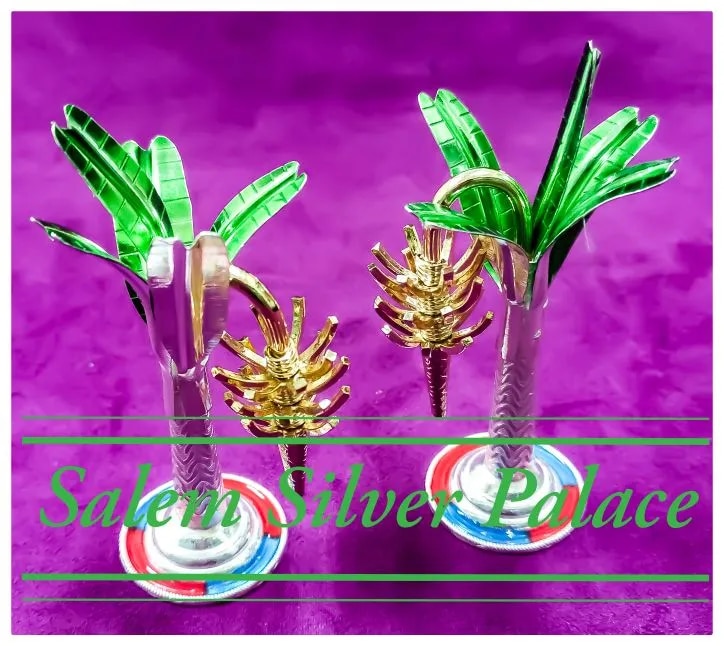 Silver Banana Tree image 1