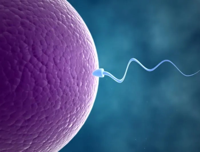 Infertility Treatment image 1