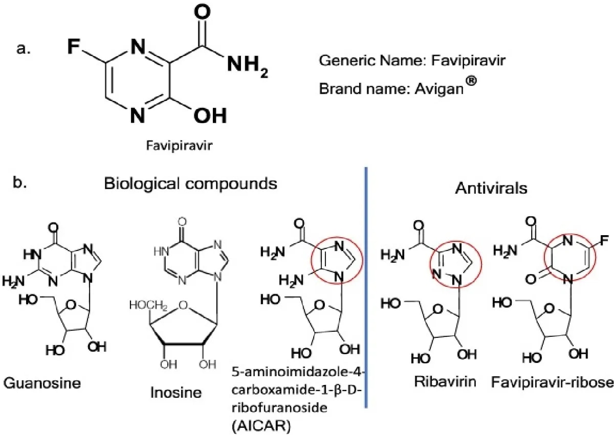Favipiravir CAS 259793-96-9 image 1