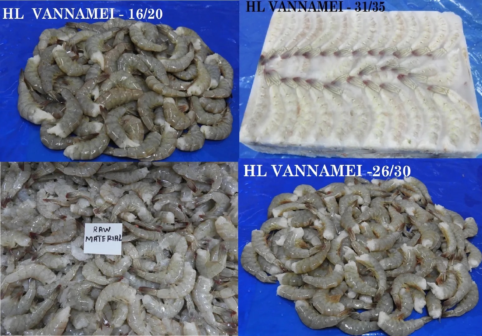 HEADLESS VANNAMEI SHRIMPS image 1