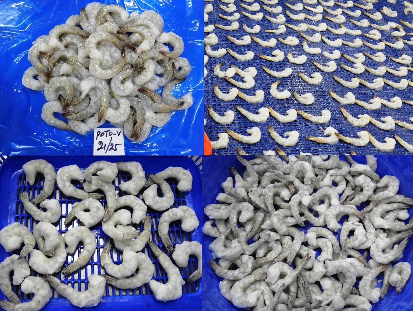PDTO VANNAMEI IQF SHRIMPS & PRAWNS image 1