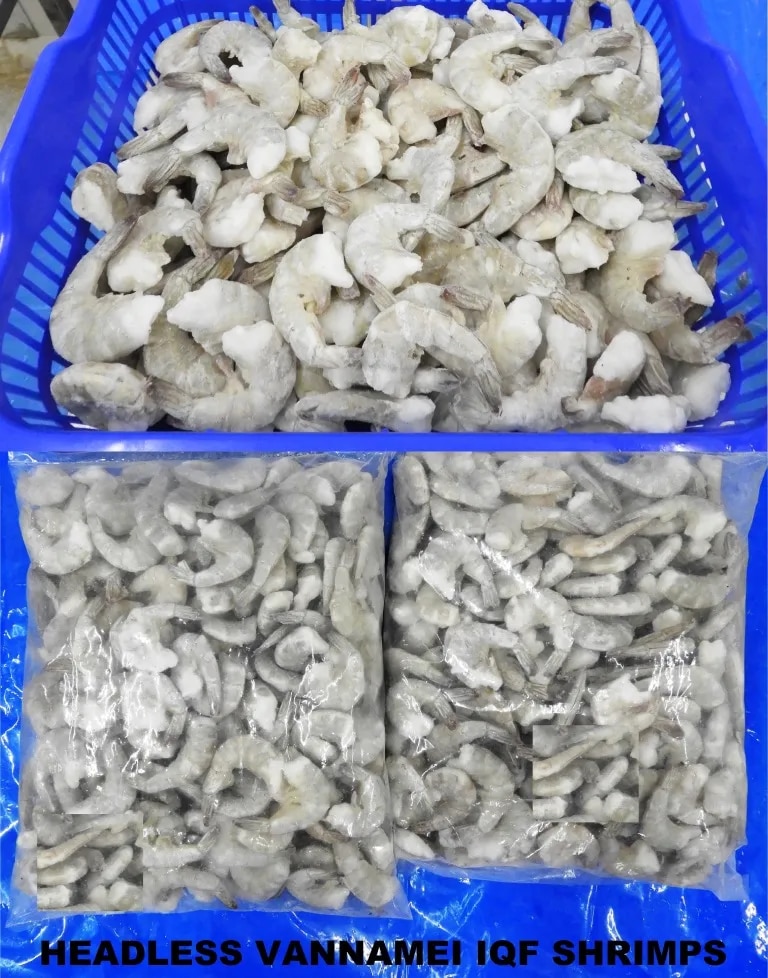 Headless Vannamei IQF Prawns & Shrimps image 1