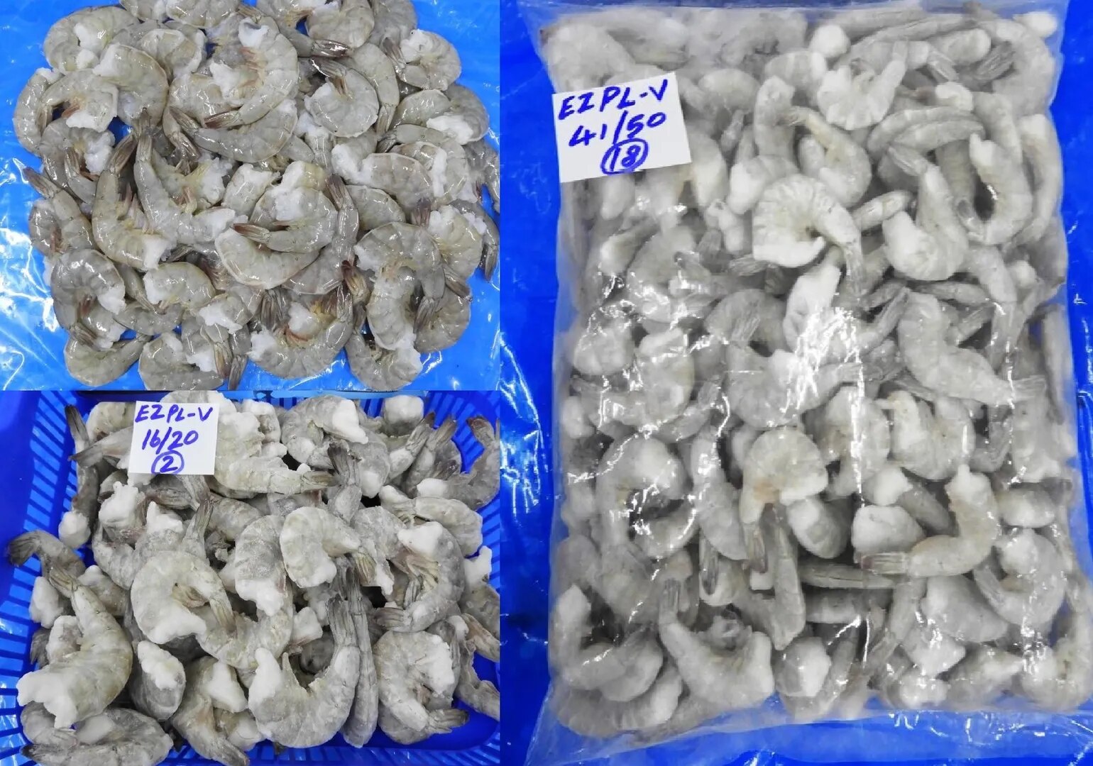 Headless Vannamei Easy Peel Shrimps IQF image 1
