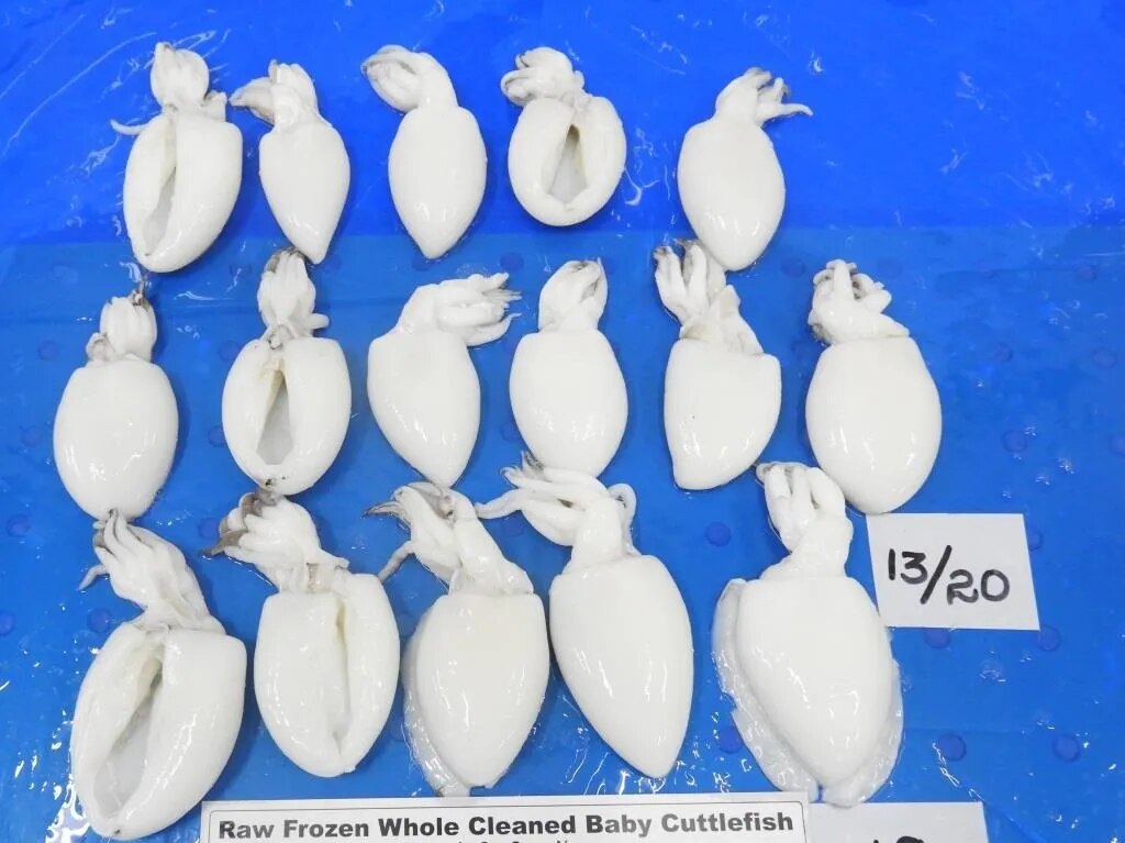 Baby Cuttlefish whole cleaned IQF image 1