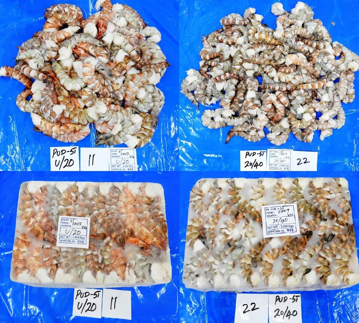 PUD SEA TIGER SHRIMPS & PRAWNS image 1