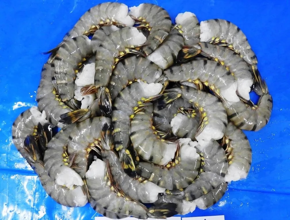 HEADLESS BLACK TIGER PRAWNS & SHRIMPS image 1