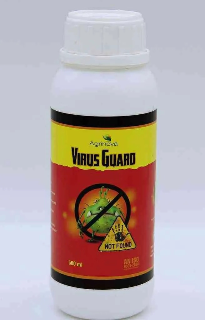 Virus Gaurd image 1