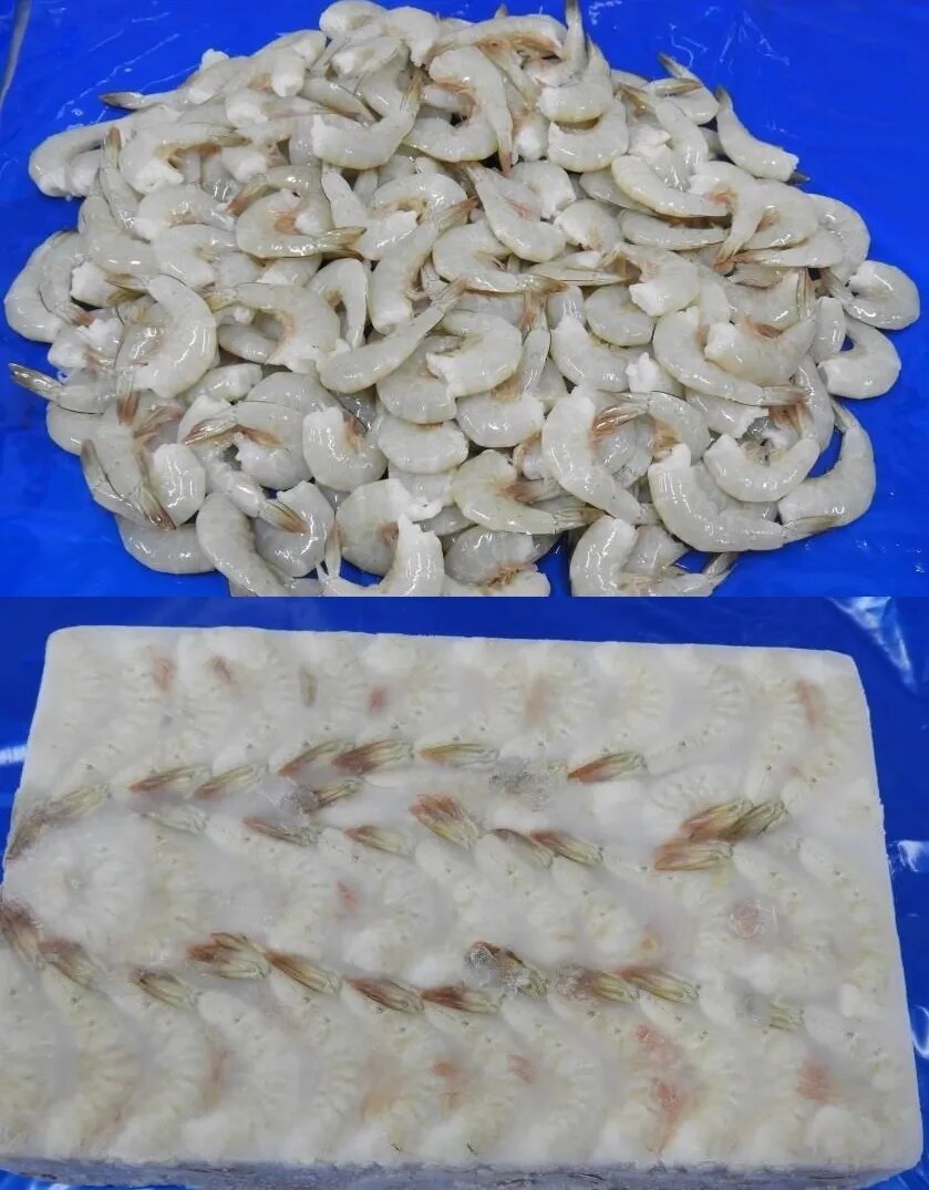 HEADLESS WHITE (RIVER) SHRIMPS & PRAWNS image 1