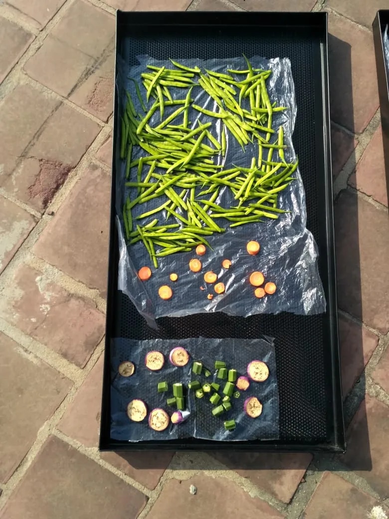 Solar Vegetable Dryer image 1