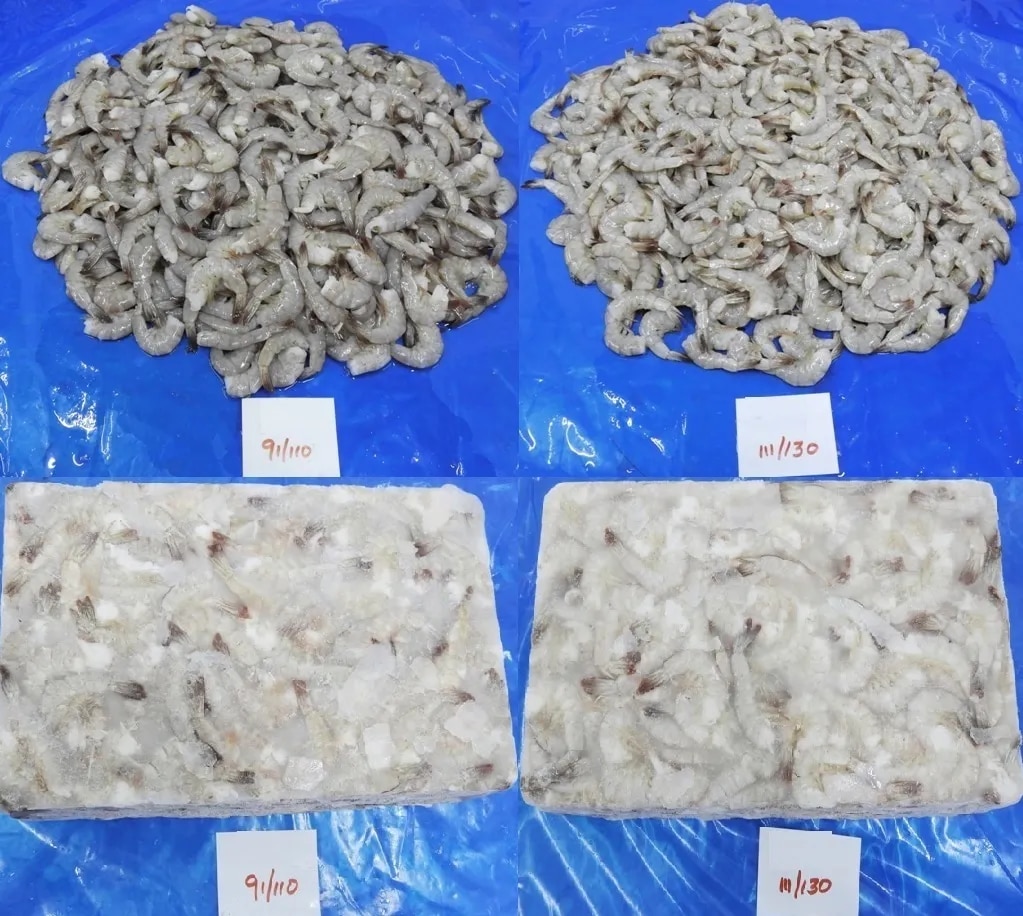 RAW FROZEN HEADLESS VANNAMEI PRAWNS & SHRIMPS (GRADE-2) image 1