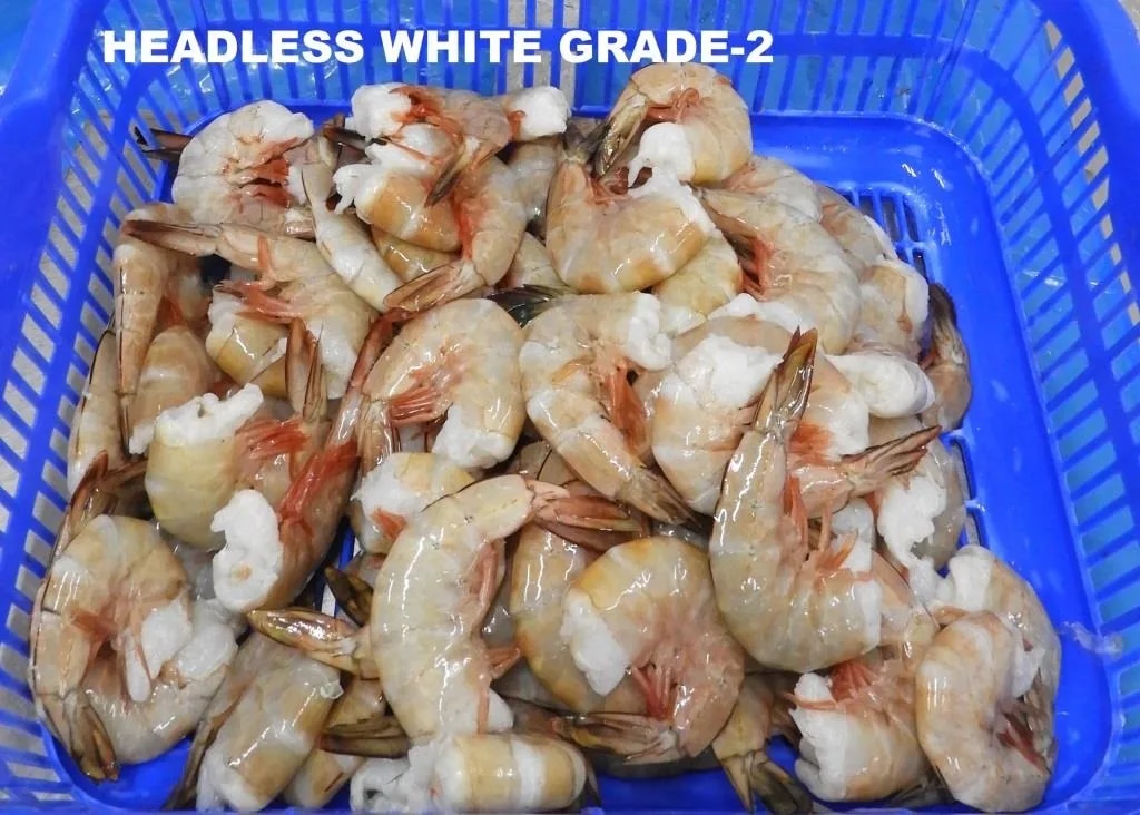 HEADLESS WHITE G2 PRAWNS & SHRIMPS image 1