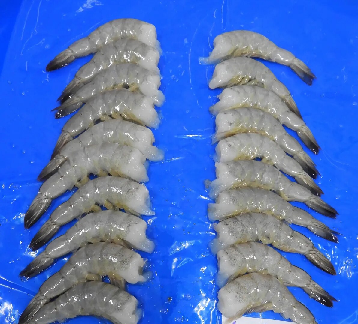 HEADLESS VANNAMEI PRAWNS & SHRIMPS G1, BLOCK FROZEN image 1