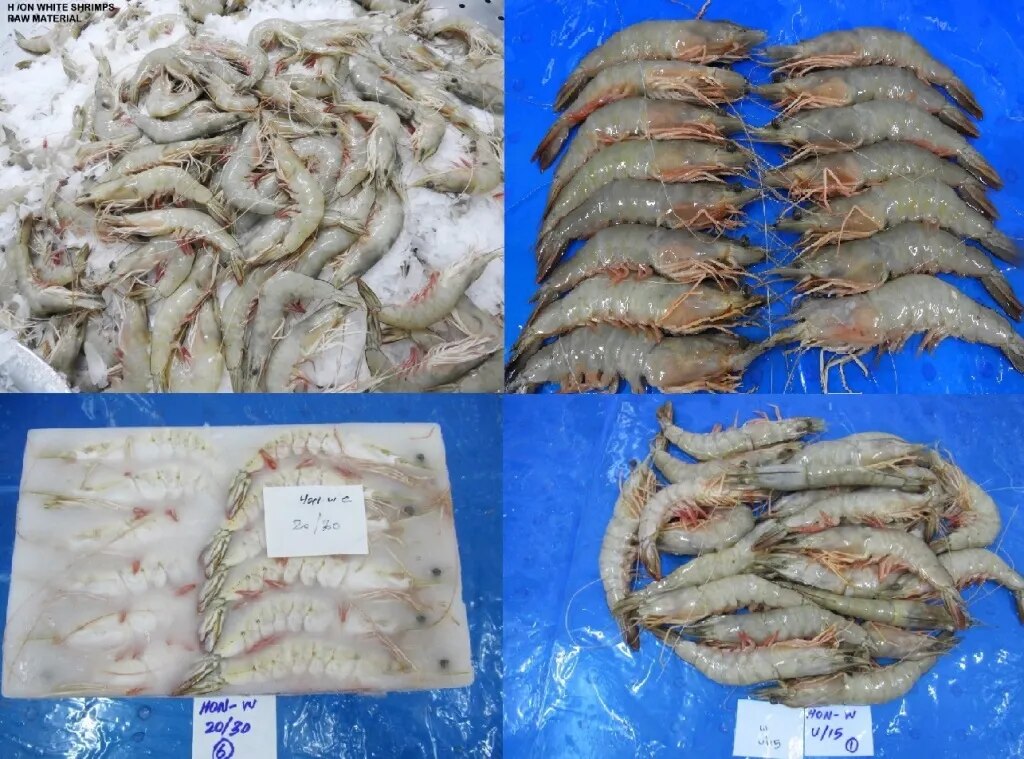 RAW FROZEN HEAD ON WHITE BLOCK FROZEN SHRIMPS image 1