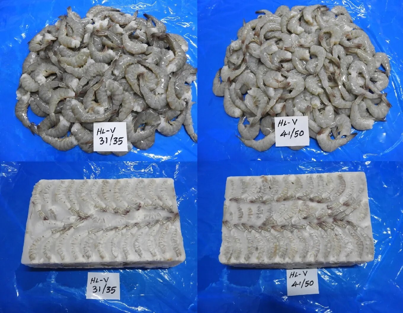 HEADLESS VANNAMEI PRAWNS & SHRIMPS (GRADE-1) - BLOCK FROZEN image 1