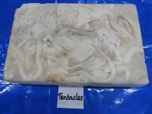 CUTTLEFISH TENTACLES image 1