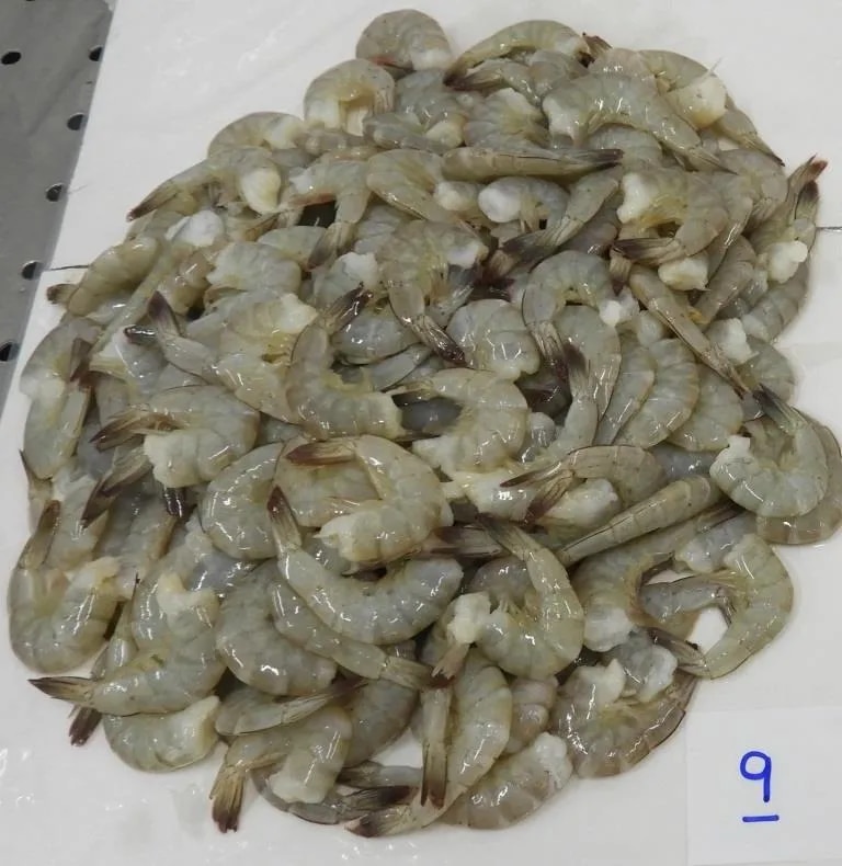 HEADLESS VANNAMEI PRAWNS & SHRIMPS (BLOCK FROZEN) image 1