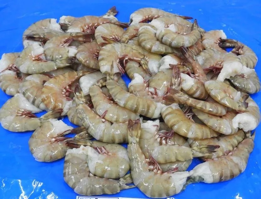 HEADLESS FLOWER SHRIMPS & PRAWNS (BLOCK) image 1
