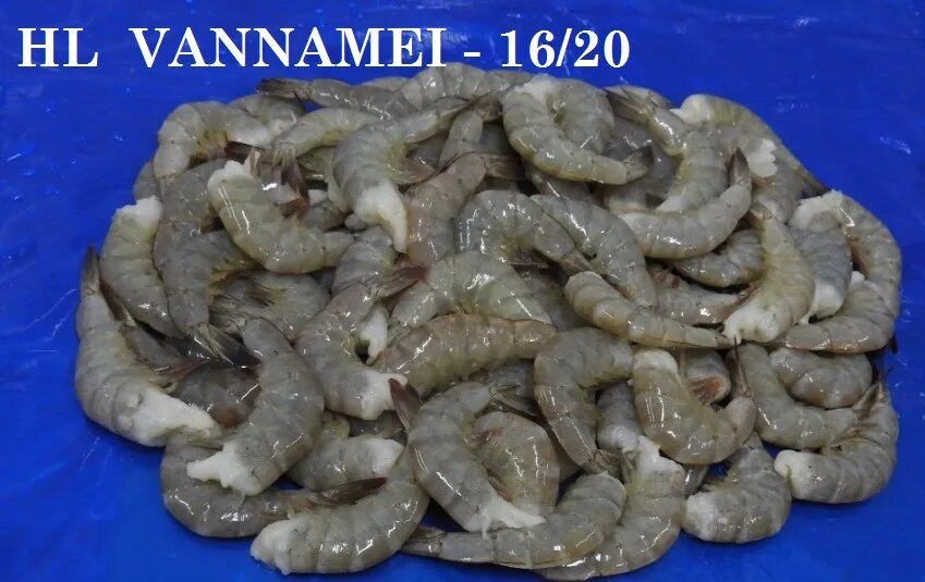 HEADLESS VANNAMEI PRAWNS & SHRIMPS - BLOCK image 1