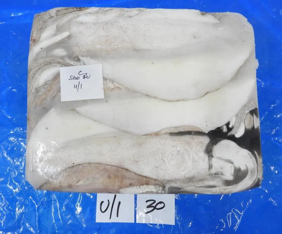 THONDI SQUID/AV SQUID (GRADE-1) image 1