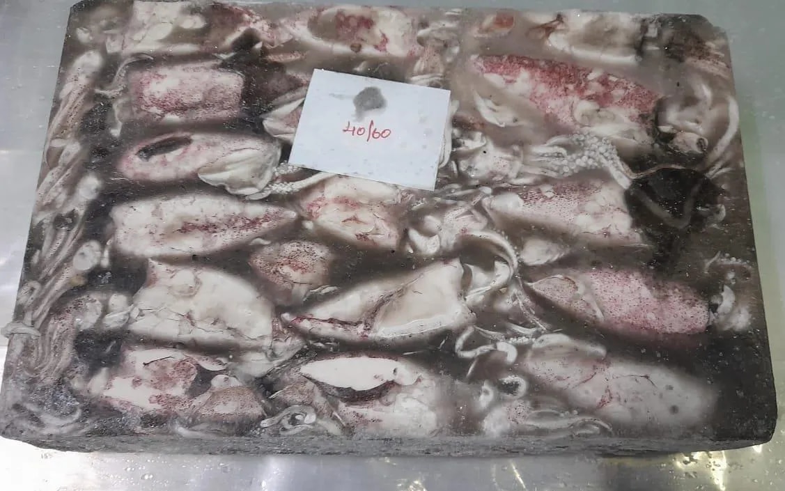 SQUID WHITE G2 (BLOCK FROZEN) image 1
