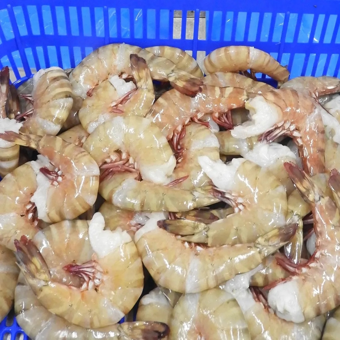 RAW FROZEN HEADLESS FLOWER SHRIMPS & PRAWNS (BLOCK) image 1