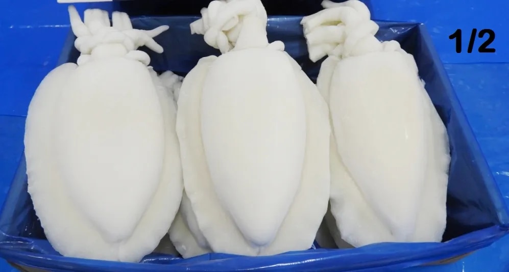 CUTTLEFISH WHOLE CLEANED (IQF) image 1