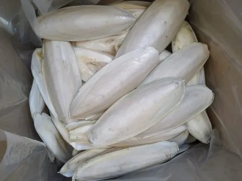 CUTTLEFISH BONE image 1