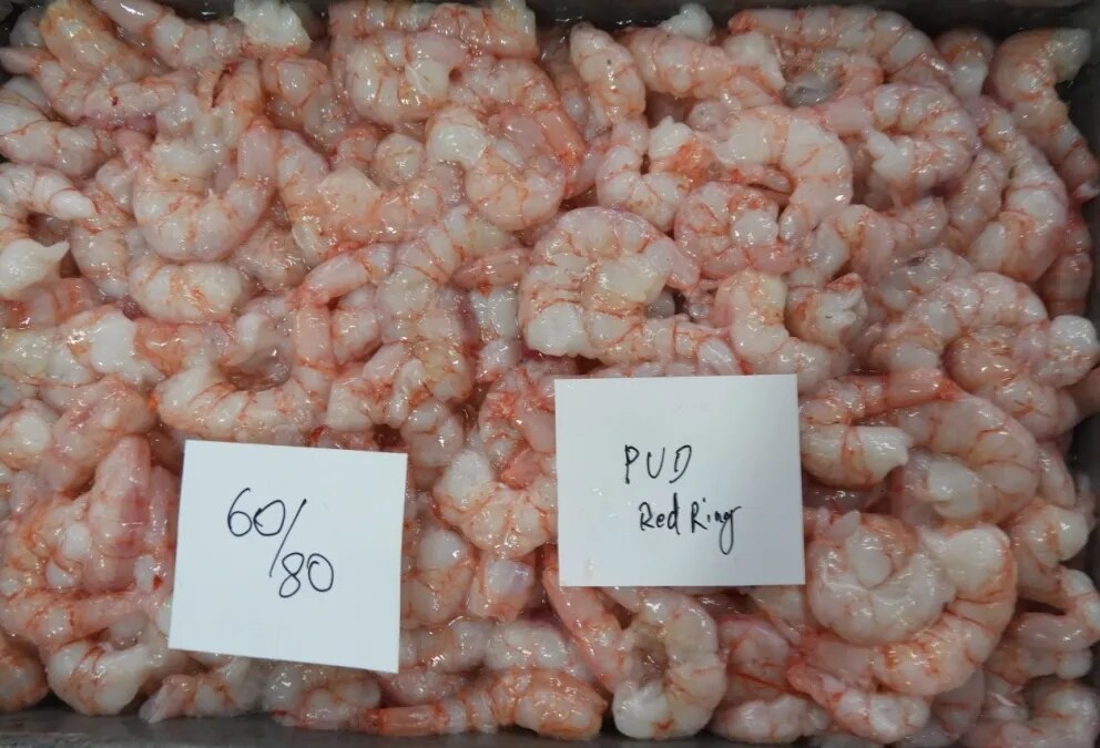 PUD RED RING SHRIMPS, BLOCK FROZEN image 1