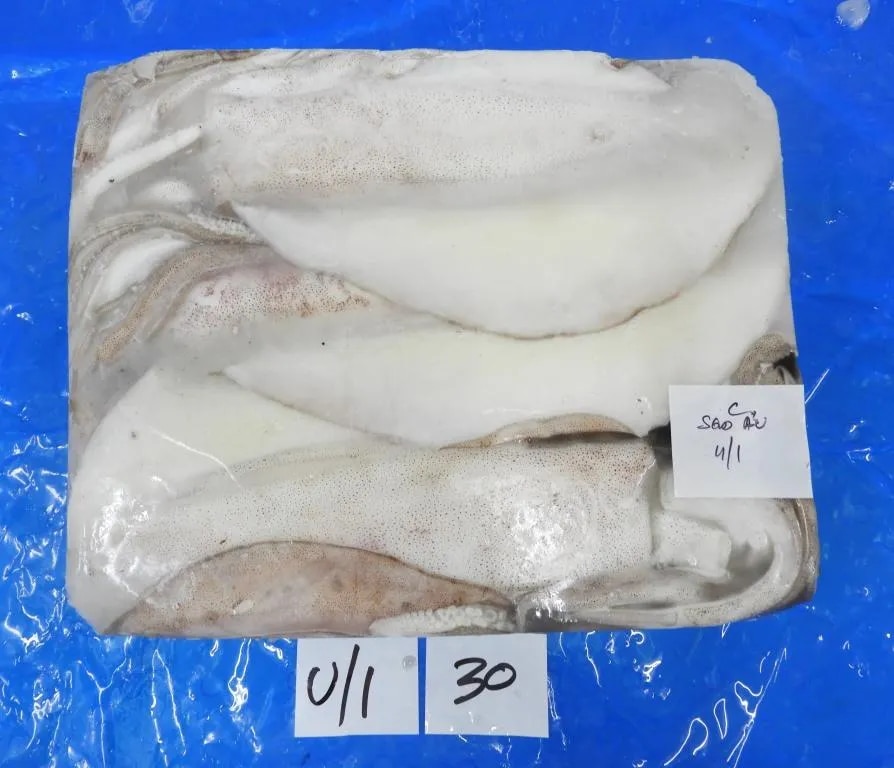 THONDI SQUID/AV SQUID (GRADE-1) - BLOCK FROZEN image 1