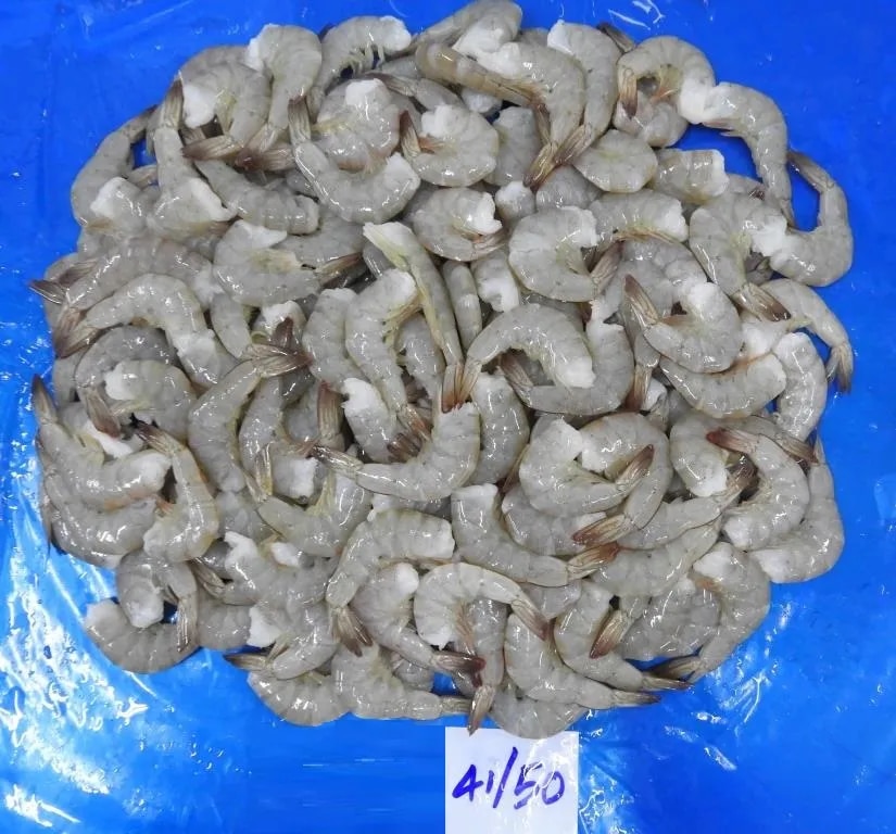 HEADLESS VANNAMEI (41/50 GRADE) BLOCK FROZEN SHRIMPS image 1
