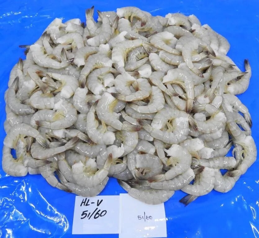 HEADLESS VANNAMEI (51/60 GRADE) BLOCK FROZEN SHRIMPS image 1