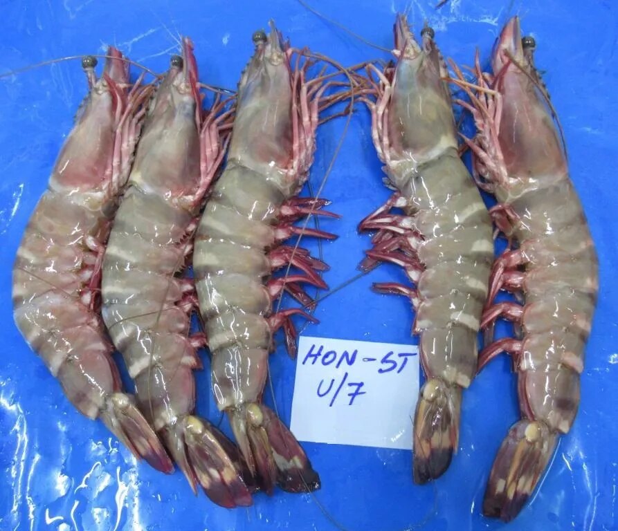 HEAD ON SEA TIGER SHRIMPS & PRAWNS (BLOCK) image 1