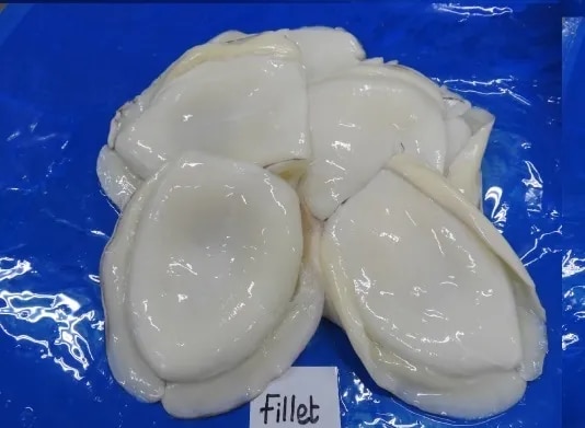 CUTTLEFISH FILLET - BLOCK FROZEN image 1