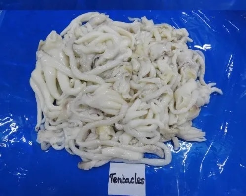 CUTTLEFISH TENTACLES - BLOCK FROZEN image 1