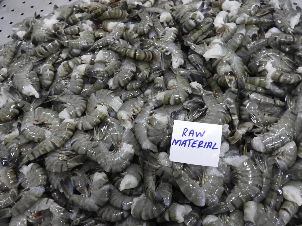 HEADLESS BLACK TIGER SHRIMPS & PRAWNS (BLOCK) image 1